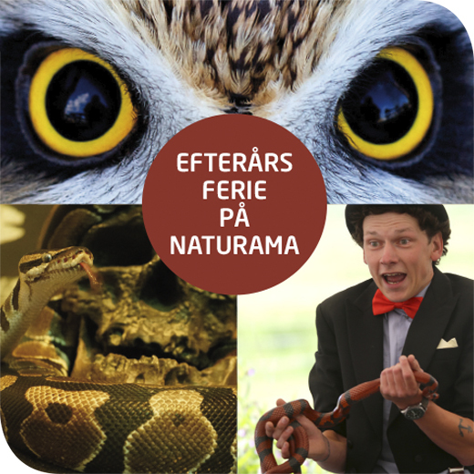 Besøg Naturama i efterårsferien